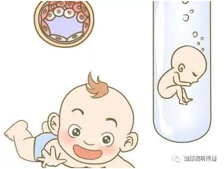 同志供卵代孕网